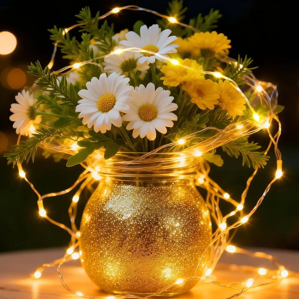 Warm White LED Fairy String Lights USB Powered with‎ Remote 8 Modes Dimmable